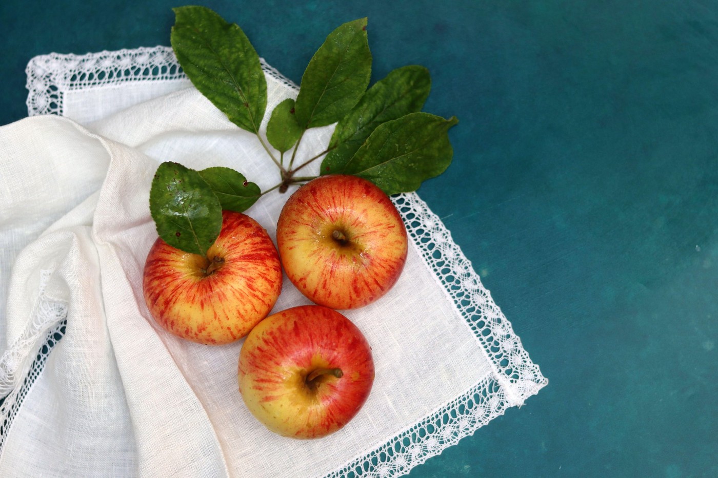 Pomi fructiferi pentru adopţie, într-o livadă de lângă Arad